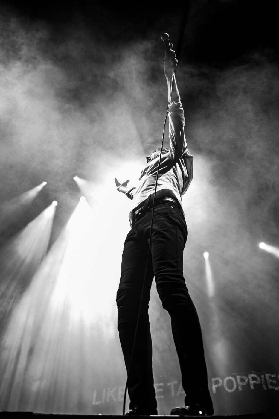 Suede @ Royal Arena, Copenhagen (DK) - Francesca Garattoni x www.vezmagazine.it