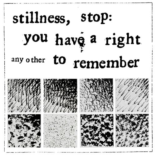 Stillness, Stop: You Have a Right to Remember