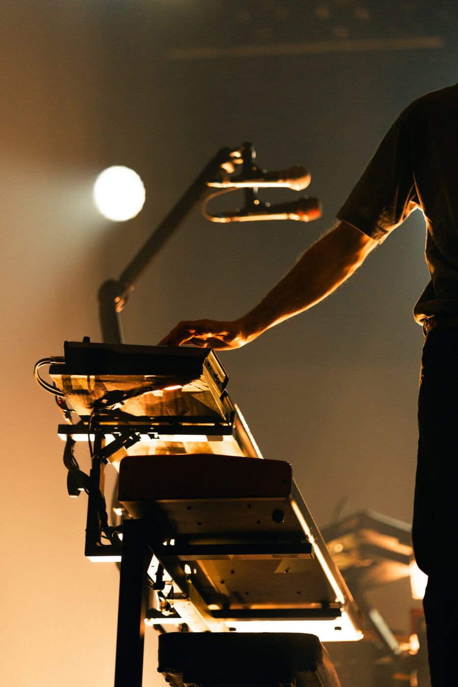 20251106 i cani bologna estragon giorgiazamboni 5 23087a3f