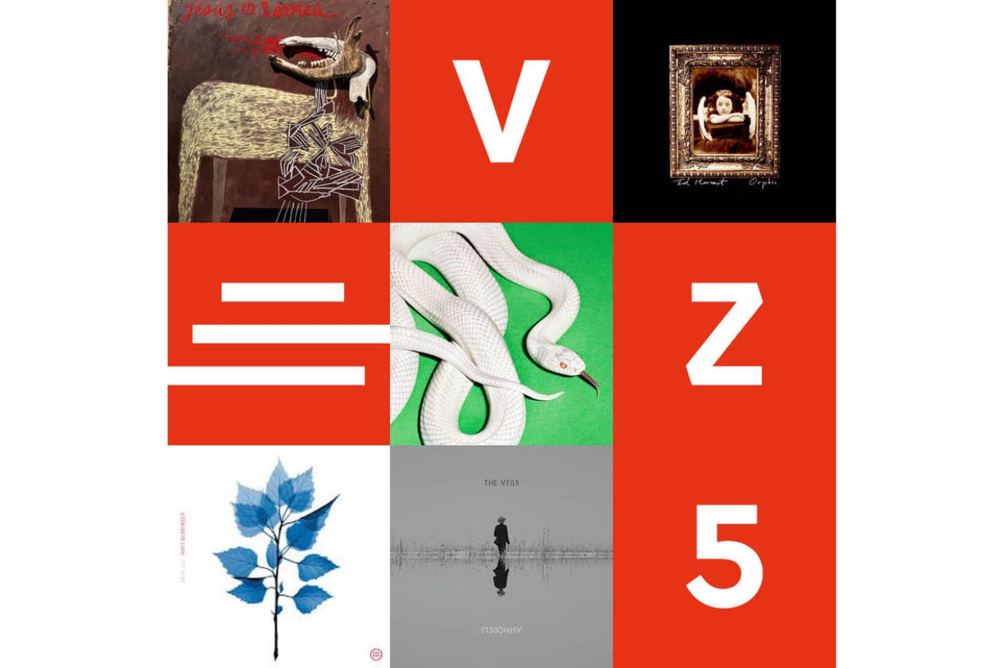 VEZ5_2025: Francesca Garattoni