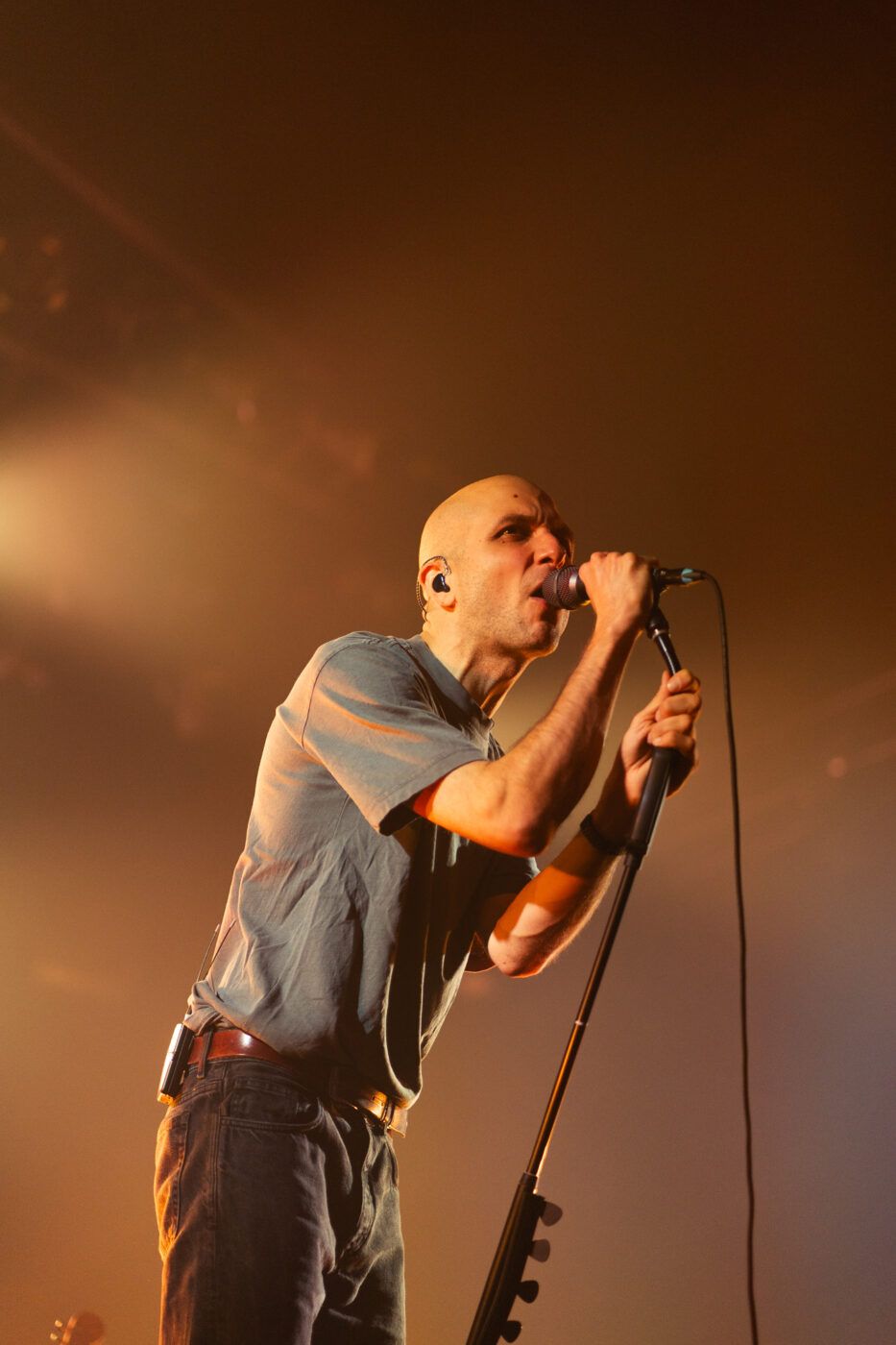 20251106 i cani bologna estragon giorgiazamboni 19 3d4d72a3