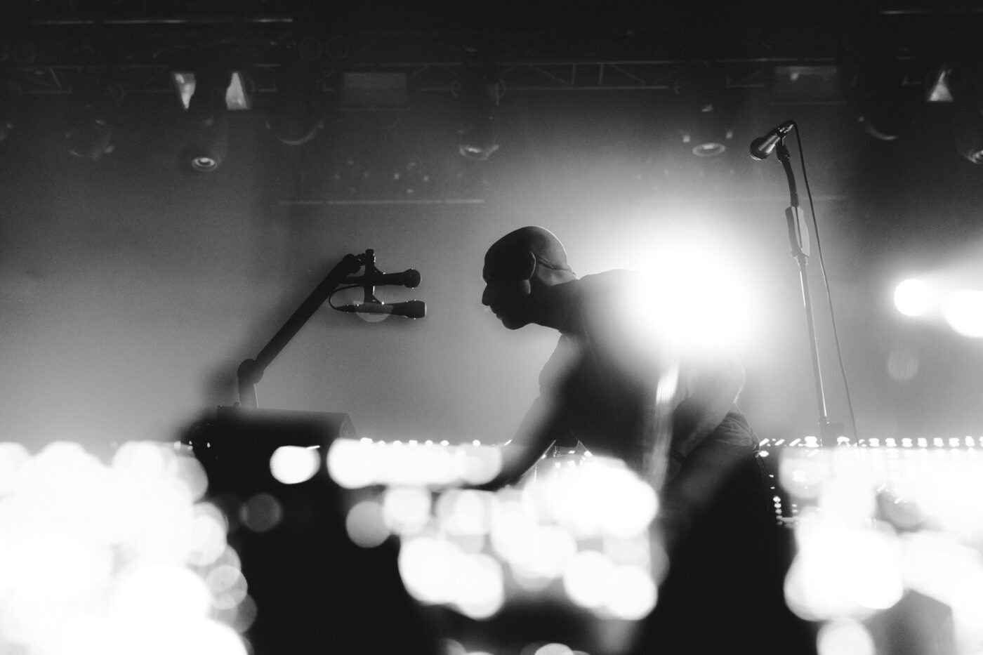 20251106 i cani bologna estragon giorgiazamboni 26 3f5bfe43