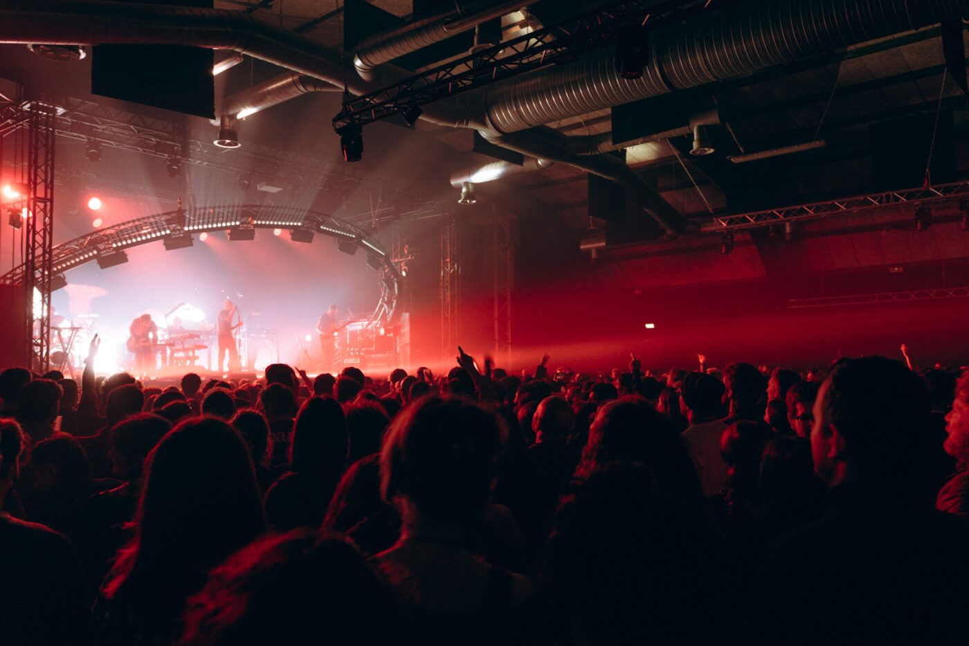 20251106 i cani bologna estragon giorgiazamboni 33 4b935364