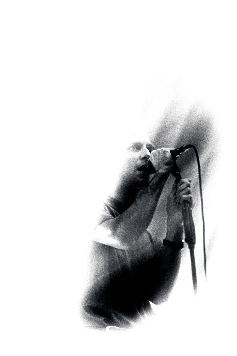 20251106 i cani bologna estragon giorgiazamboni 1 5984f9e0