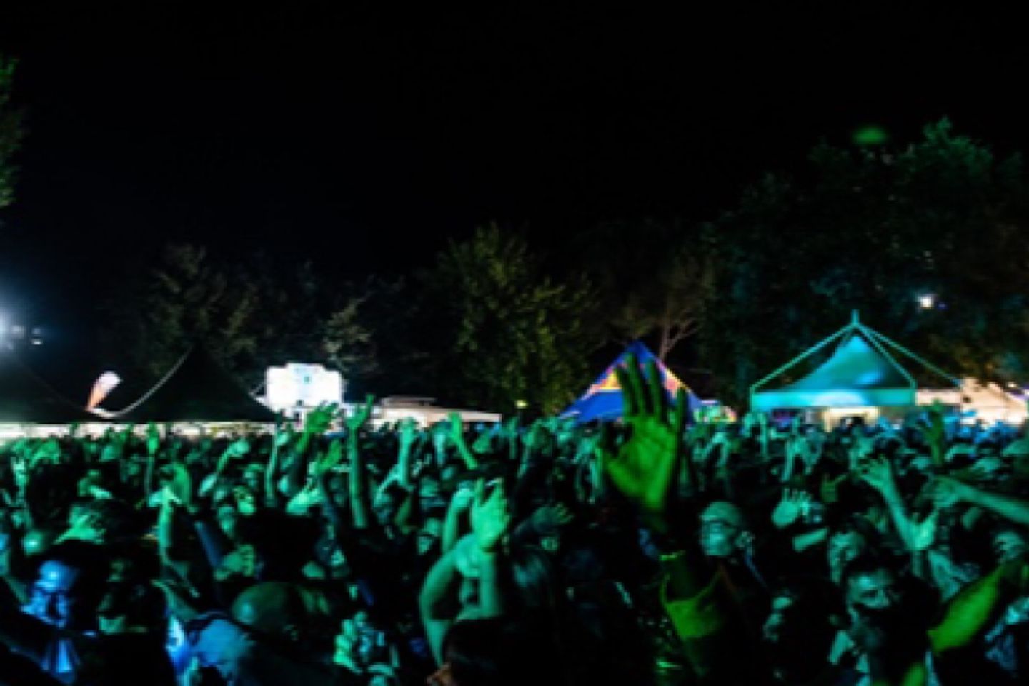 Frogstock 2026: dal 19 al 22 Agosto. Sul palco Joan Thiele, Murubutu, I Patagarri e Bardo Magno.