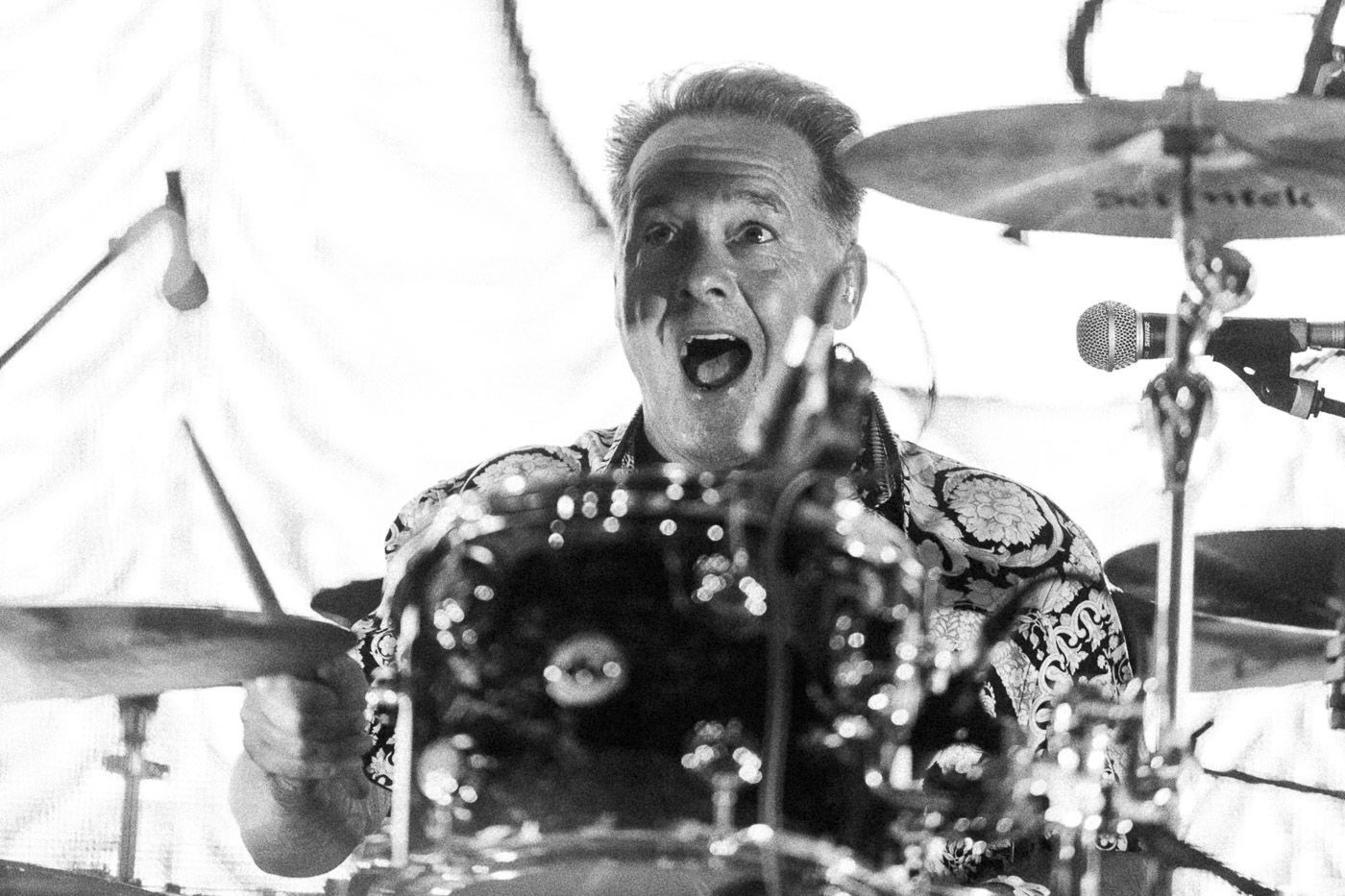 20230813 me first and the gimme gimmes bay fest beky bay bellaria lucaortolani 13 68881e48