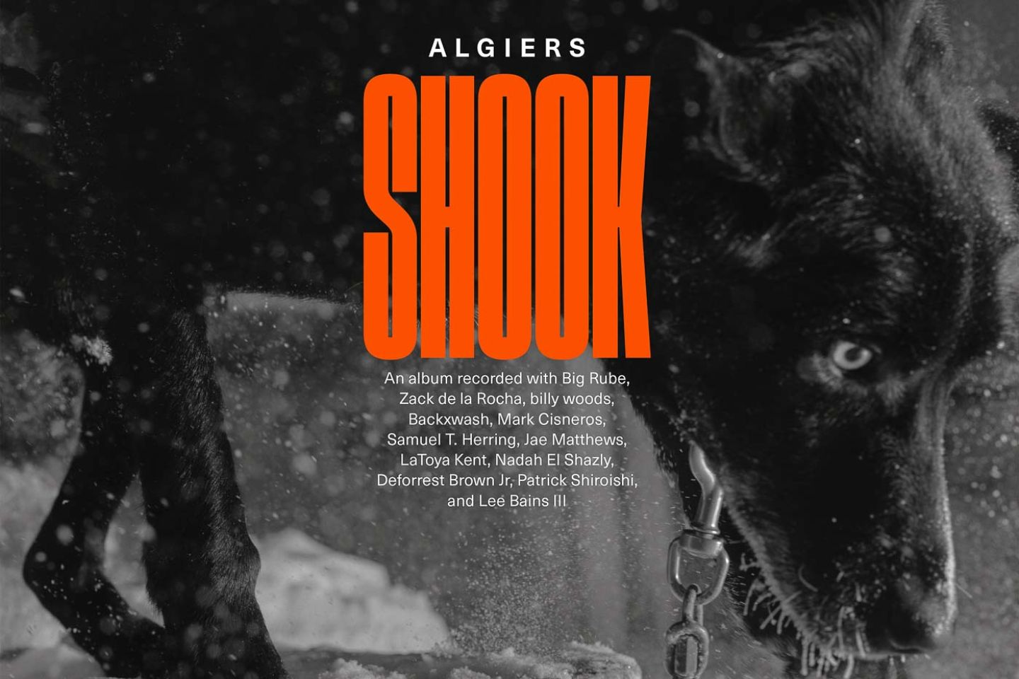 Algiers “Shook” (Matador Records, 2023)