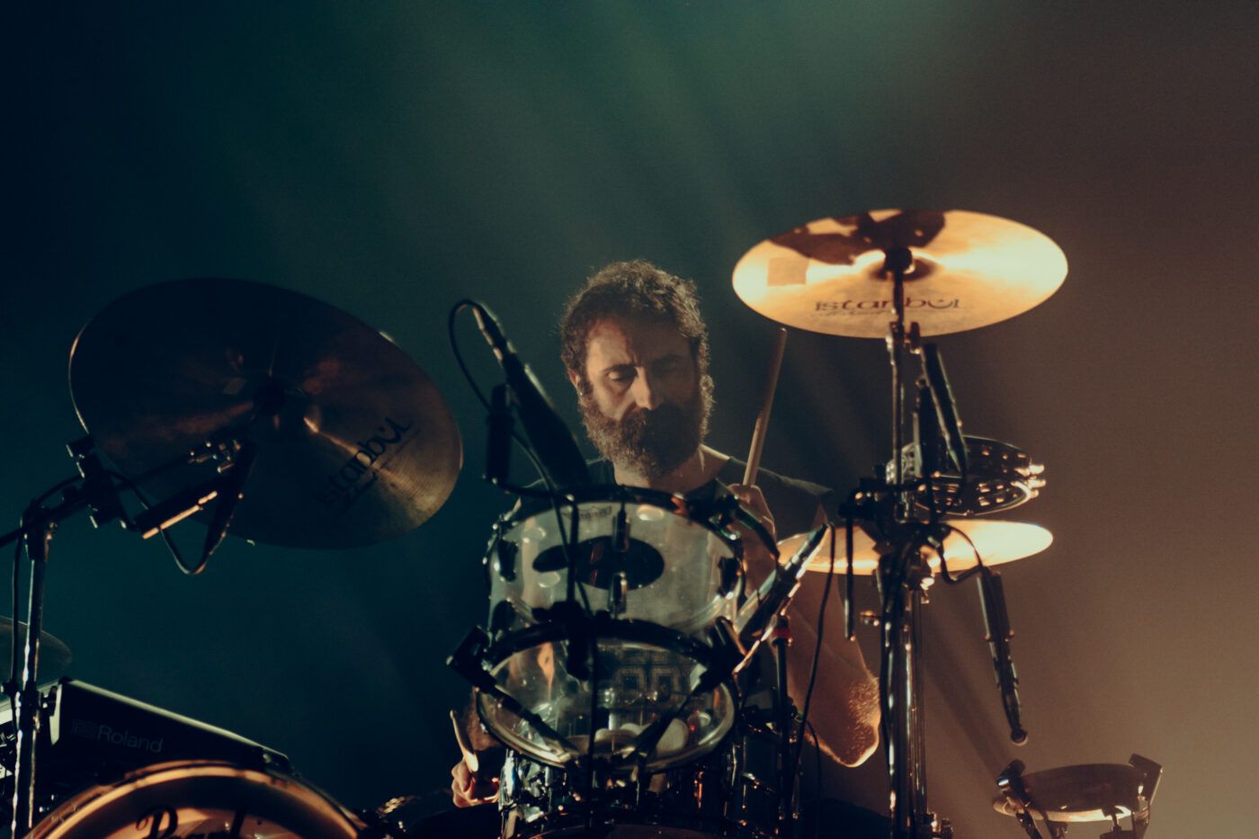 20251106 i cani bologna estragon giorgiazamboni 2 b9651ccf